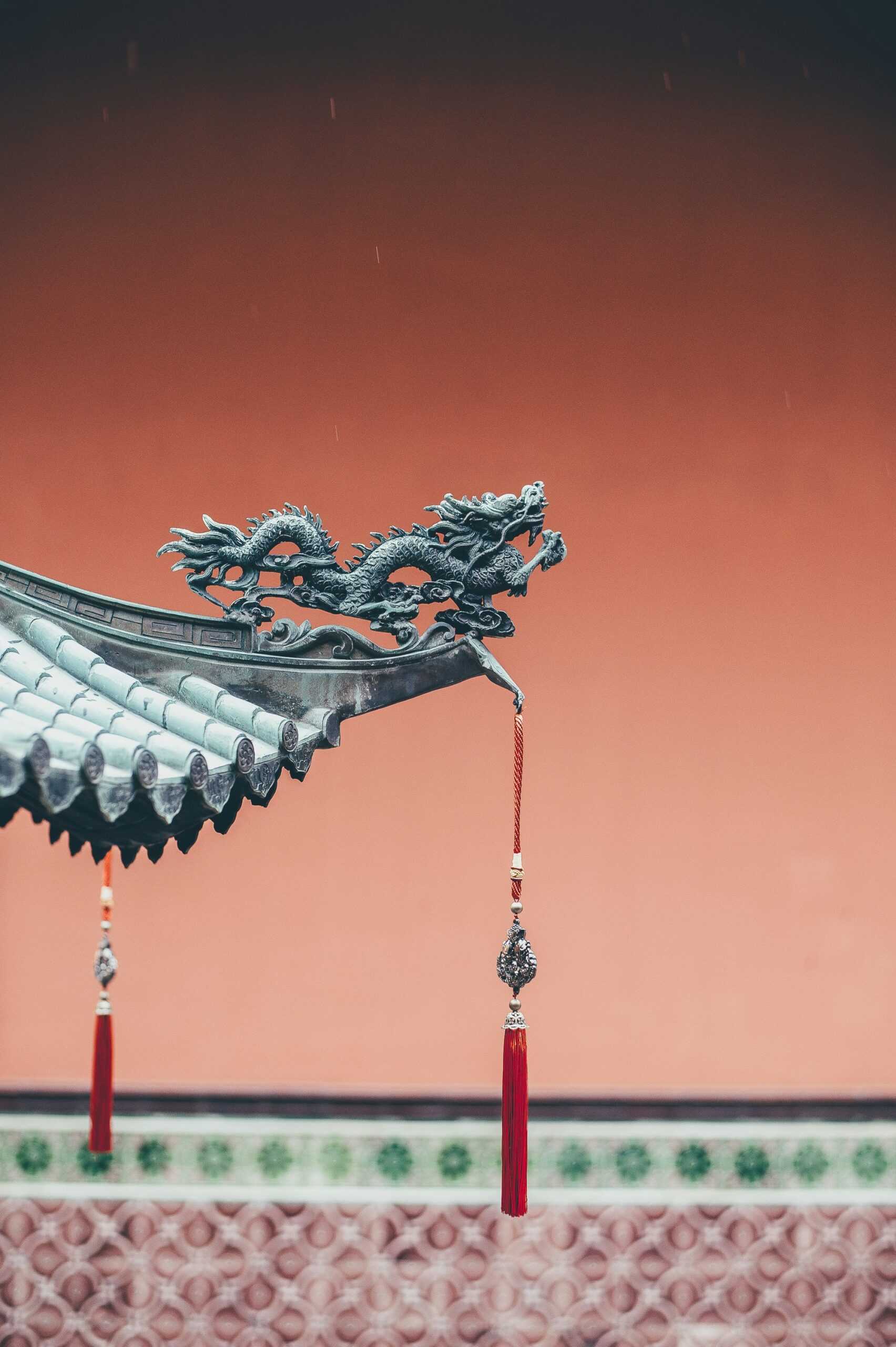 medicina china